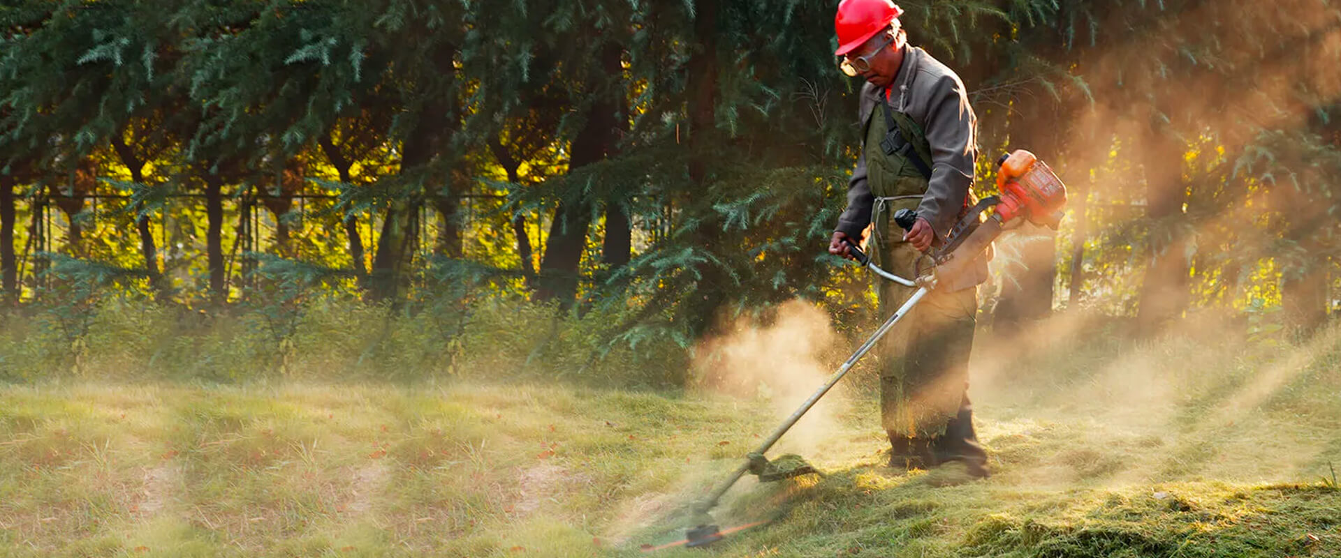 Brush Cutter with Blade